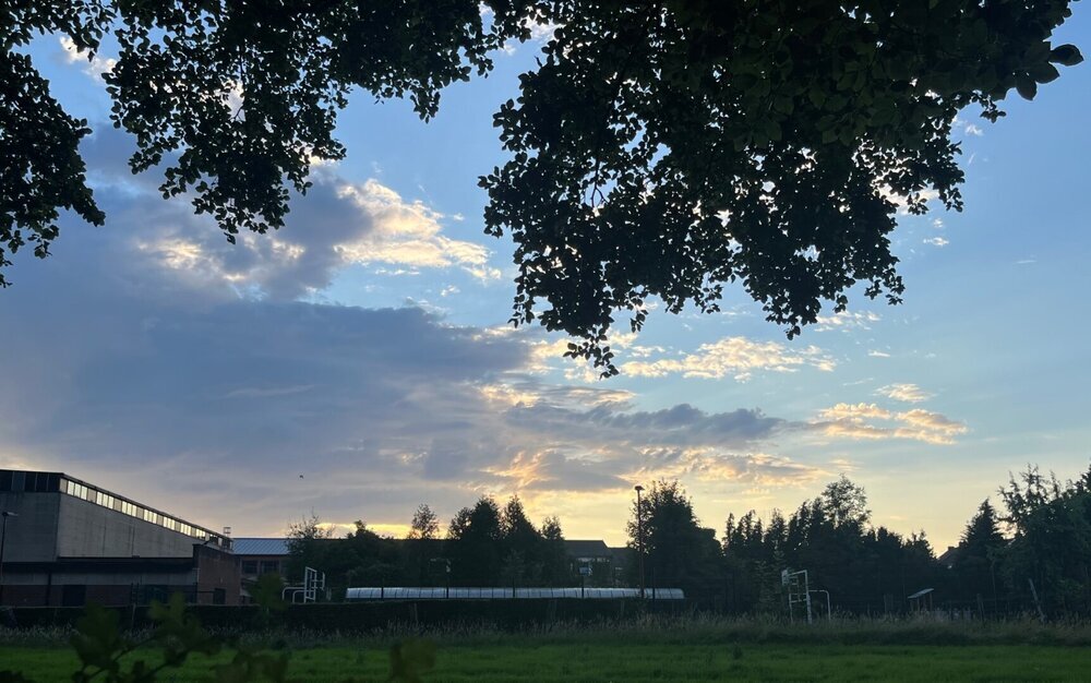 IMG_5265.jpeg