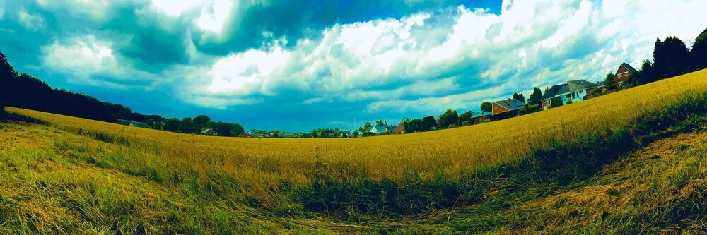 IMG_5273.jpeg