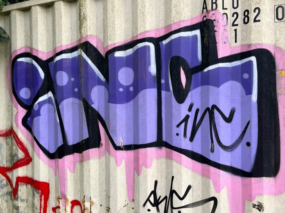 IMG_5441.jpeg