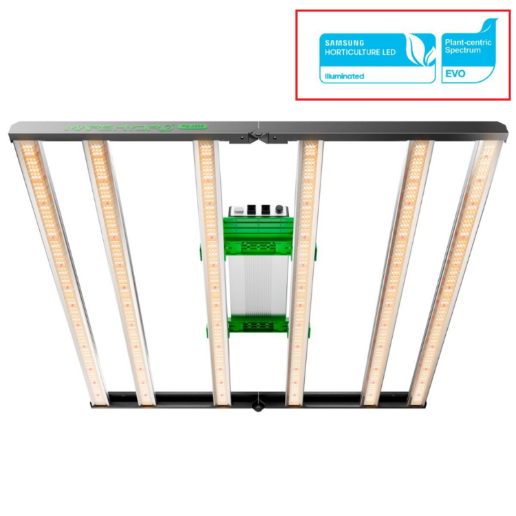 image.thumb.png.1e8921ebe6c357334e219740605fcc3d.png