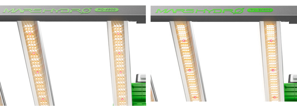 image.thumb.png.46b17d4f0525cea301ac7158737761b5.png