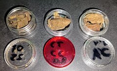 Multi cherrytini-crystal Candy - accord