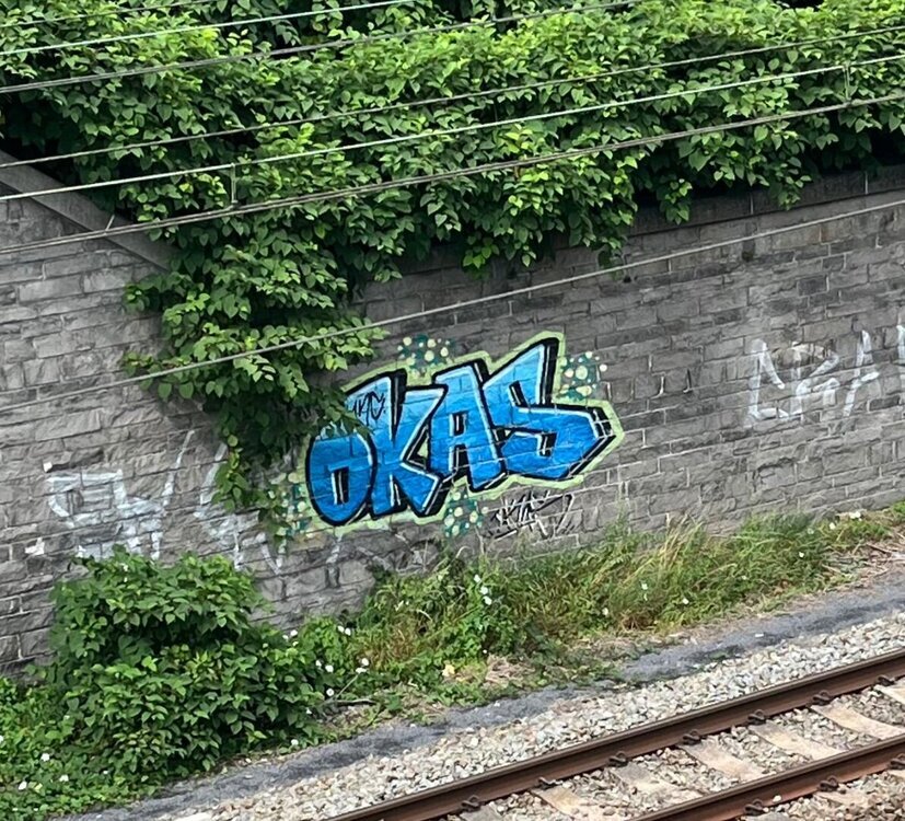 IMG_5510.thumb.jpeg.b55a17c564bccede4f90ea11dc2b24a8.jpeg