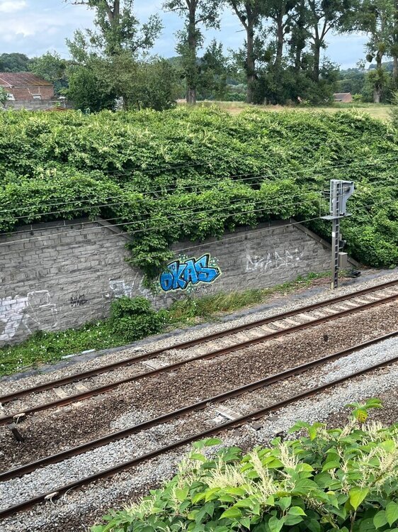 IMG_5510.thumb.jpeg.d9c2aea8a64003db5eaa1d7c252064e6.jpeg
