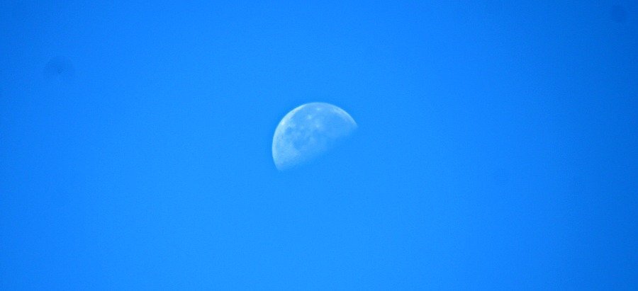 IMG_7036.JPG.d0bb8feb4c8cd4e36b13d2ccbb8b3497.JPG