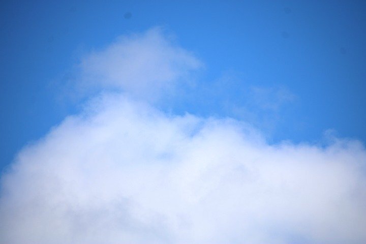 IMG_7037.JPG.2fb02e041867529f9cfd382b565f285e.JPG