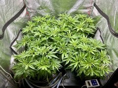 IMG_1345.jpeg