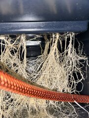 IMG_1568.jpeg