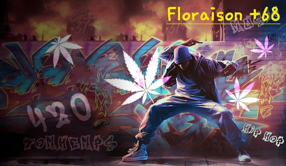 tomhemps-HipHop-and-Cannabis-1.thumb.jpg.af478bb541285317d0551c789f8e1802.jpg