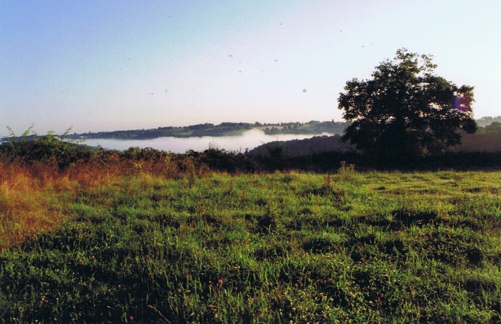 Le matin, la brume  copie.jpg