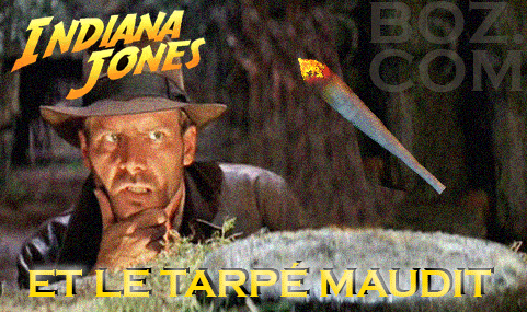 1161011531_Ptard-Joint-tournant-gif-INDIANA-MONT-ANIM-4.gif.0c15e4f74abccd8e5a4335c337656139.gif