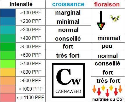 1779494_ValeurPPFrespecterrasta.png.123d17a3a3b7a2d577f5ebcd6d8f3f6f.png