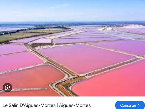 446998689_Capturedcran2024-09-21103230.png.9060210031cf4af7861b21dc2f8047b6.png