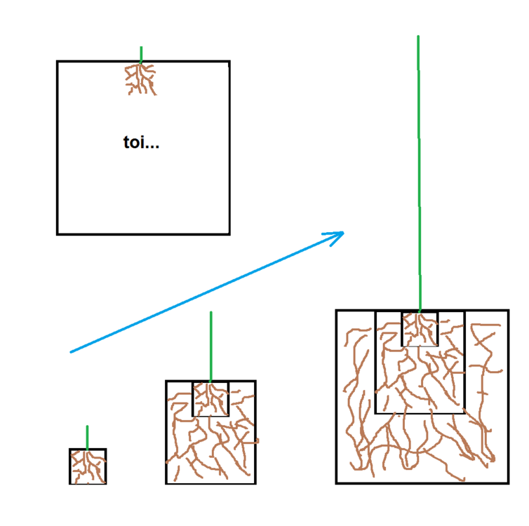 594115886_rempotageracines.thumb.png.d3dc0d91efa558c71197135b747f270b.png
