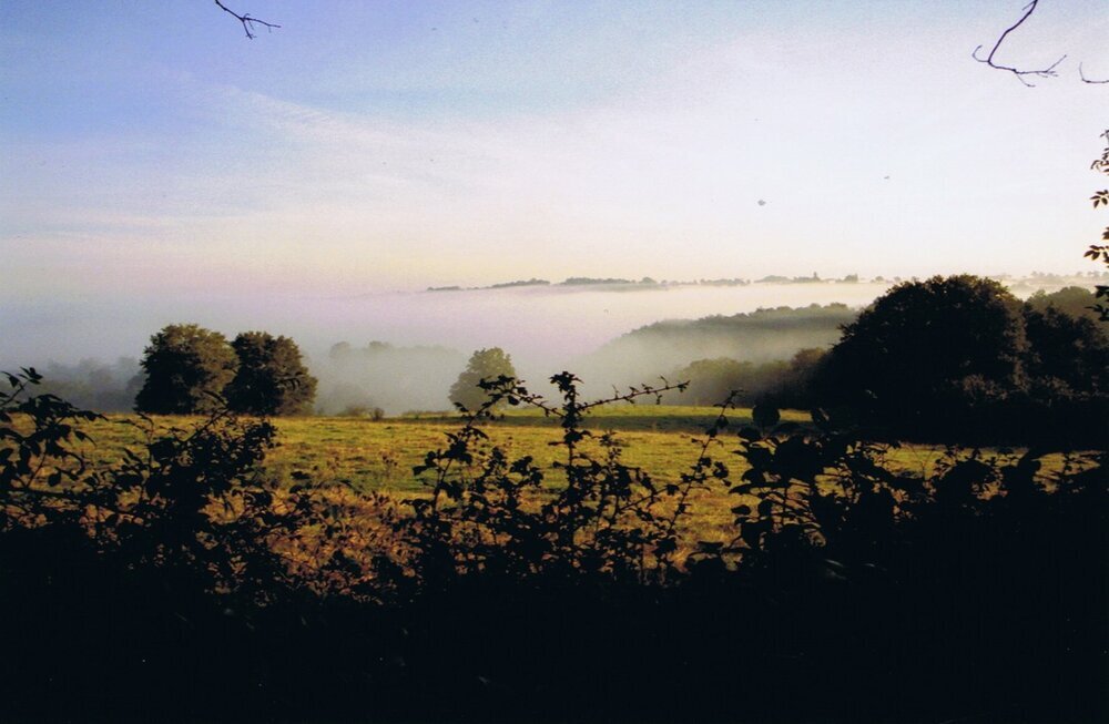 Le matin, la brume 1 copie.jpg