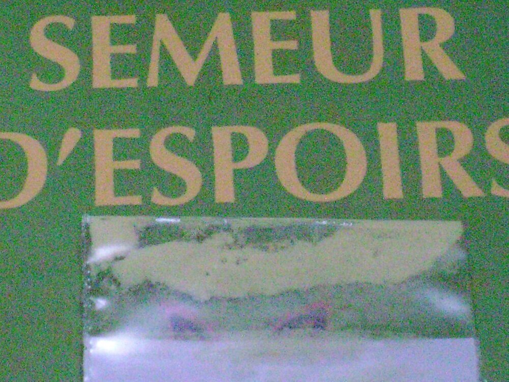 DSC04635.thumb.JPG.1a1268774bcc685973dd55e6c86ccfc7.JPG