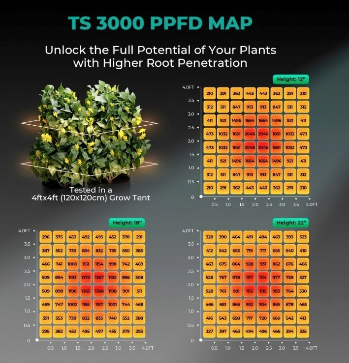 mars_hydro_ts3000_led_ppfd_map.jpg.1022d0d3093725e0425586b582da2219.jpg
