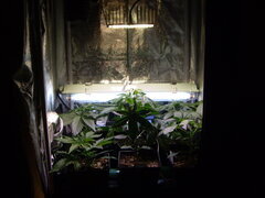 IMG_1398.JPG