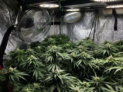 IMG_1691.jpeg