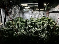 IMG_1736.jpeg