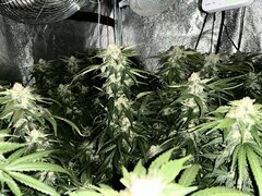 IMG_1884.jpeg