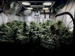 IMG_1901.jpeg