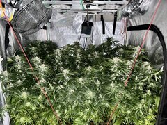 IMG_1920.jpeg