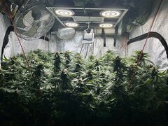 IMG_1946.jpeg