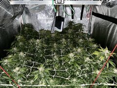 IMG_2159.jpeg