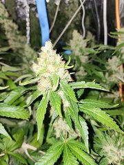 IMG_COM_202409252325143444