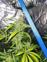 IMG_COM_202409252325146687