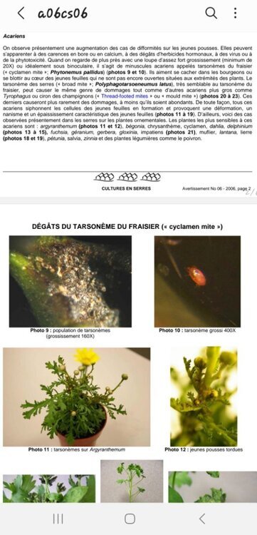 725464305_Screenshot_20241022_233427_SamsungNotes.thumb.jpg.6cd20c69bf2c55da36c0558b9b7ffae0.jpg
