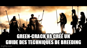 976yqc.gif.b30e010b096317c930d210453229cdc5.gif