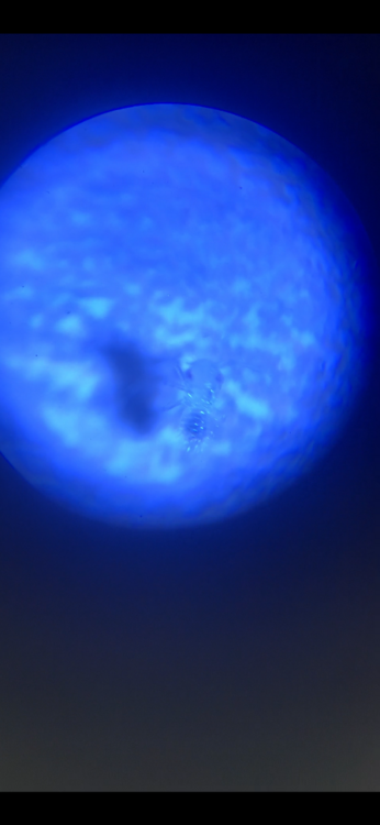 IMG_3736.png
