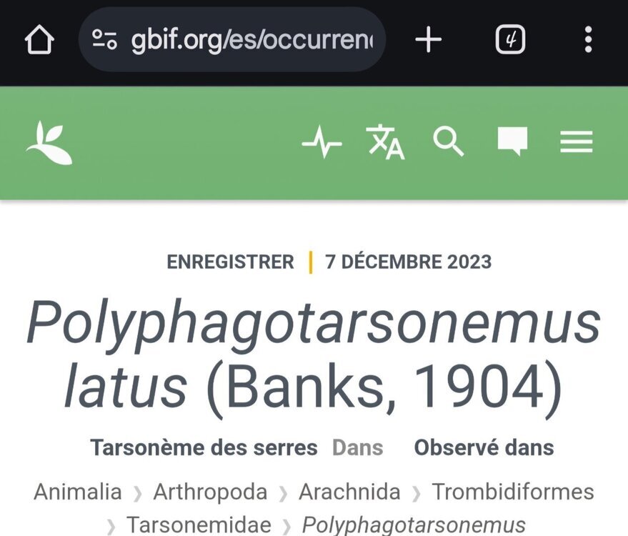 Screenshot_20241020_204849_Chrome.thumb.jpg.8e27a6ad3ce4baff45c040c21e2ddb40.jpg