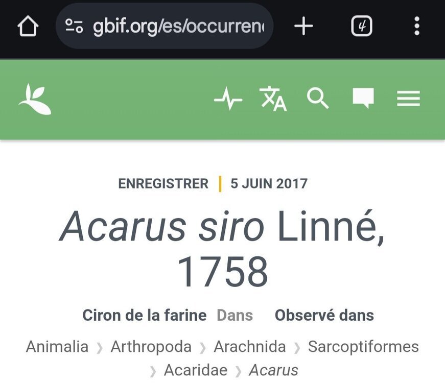 Screenshot_20241021_030942_Chrome.thumb.jpg.105db5de5f10821c2dbff804b2bb9ede.jpg