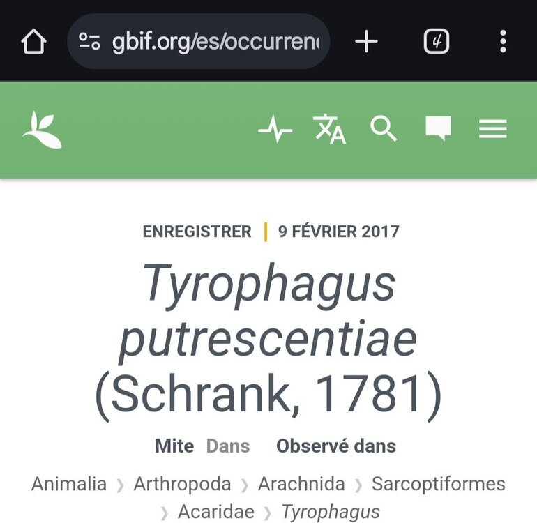 Screenshot_20241021_031129_Chrome.thumb.jpg.e4e0cbb6e6dccc30c82a1c1313e2731e.jpg