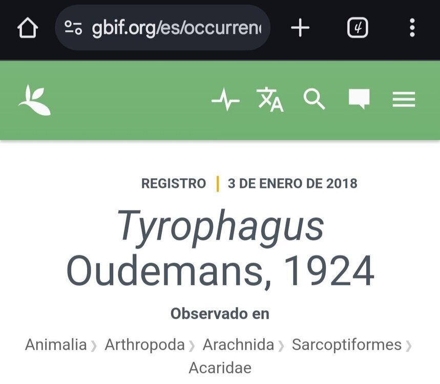 Screenshot_20241021_031230_Chrome.thumb.jpg.917d8576081ab517cd4ebd19f79cac5e.jpg