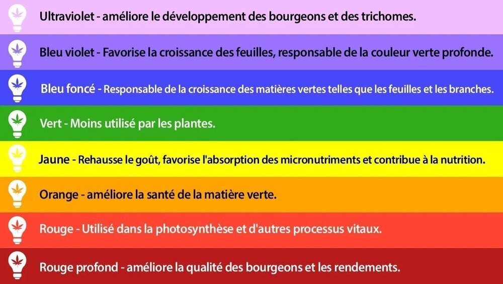 couleur.thumb.jpg.c2813446f208b6f6c193ea8157cd6528.jpg