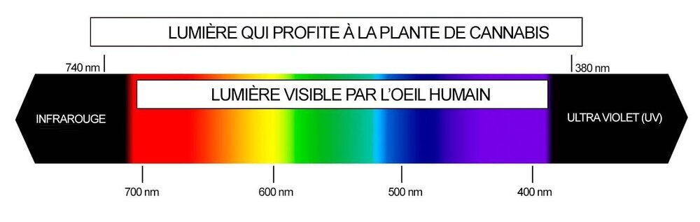 fr-espectro-c.thumb.jpg.a6f02c5145f3e120de91b47bc528e40b.jpg
