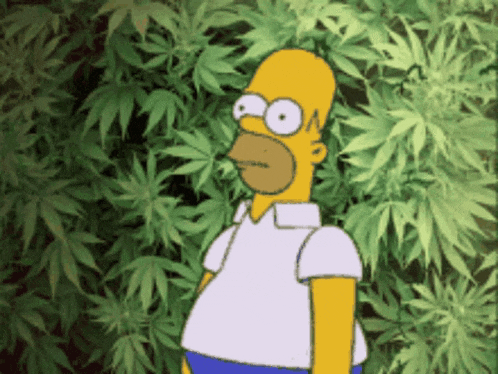 homer-simpsons.gif.a441dead2f7a81cfc1eb6975cf90ad87.gif