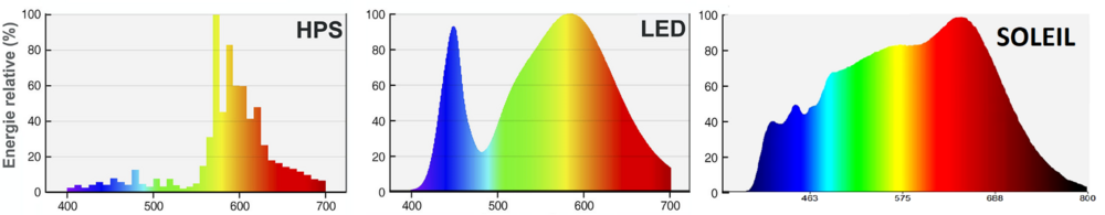 image.thumb.png.a3ff8bc3e55292fca75b6312410f77e2.png
