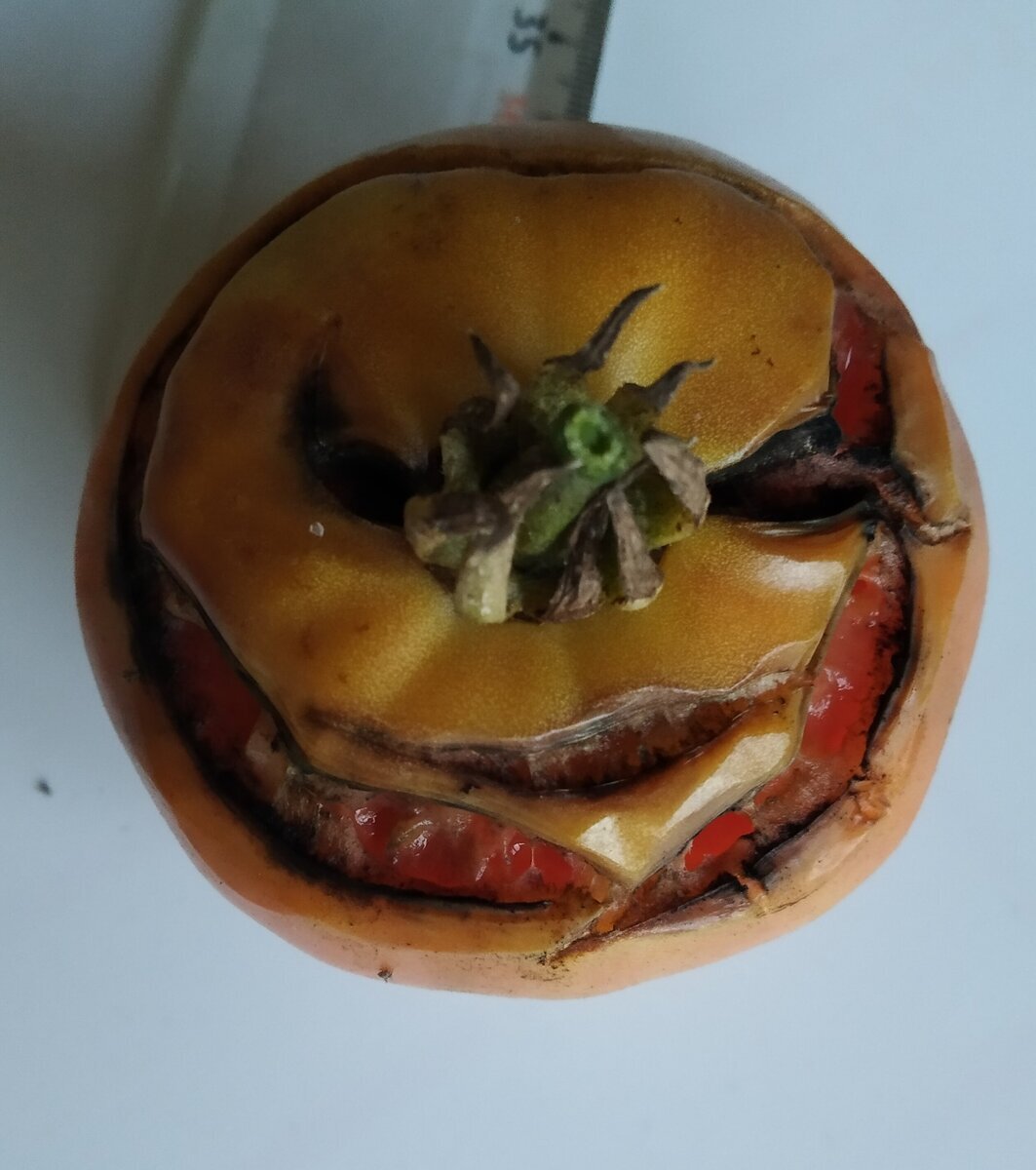 large.Tomato.jpg.2a3ab1edb33d5eb669ab9658bc771c4c.jpg