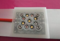 Lamic-Tal - ISLED V6.1PF spot 20W