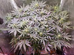20221110_162106-min.jpg