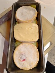 IMG_20241019_192826.jpg
