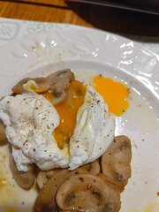 IMG_20241028_195936.jpg