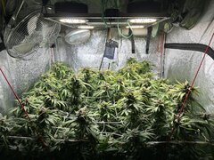 IMG_2169.jpeg