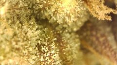IMG_2185.jpeg