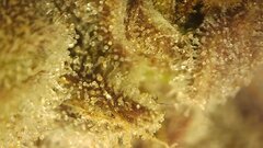 IMG_2193.jpeg